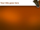 Presentationpro.com Powerpoint Products and Services