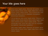 Presentationpro.com Powerpoint Products and Services