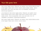 Presentationpro.com Powerpoint Products and Services