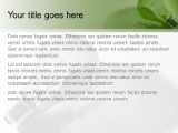 Download idea brainstorm green PowerPoint Template and other software plugins for Microsoft PowerPoint