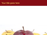 Presentationpro.com Powerpoint Products and Services