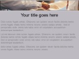 Download min18 PowerPoint Template and other software plugins for Microsoft PowerPoint