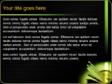 Presentationpro.com Powerpoint Products and Services
