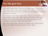 Presentationpro.com Powerpoint Products and Services