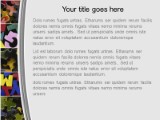 Presentationpro.com Powerpoint Products and Services
