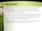 Presentationpro.com Powerpoint Products and Services