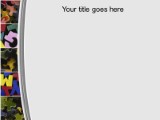 Presentationpro.com Powerpoint Products and Services
