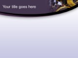 Presentationpro.com Powerpoint Products and Services