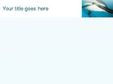 Presentationpro.com Powerpoint Products and Services