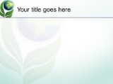Presentationpro.com Powerpoint Products and Services