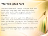 Presentationpro.com Powerpoint Products and Services