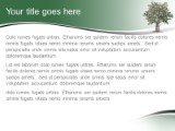 Presentationpro.com Powerpoint Products and Services
