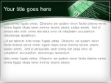 online credit green PowerPoint Template text slide design