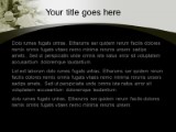 Presentationpro.com Powerpoint Products and Services