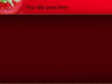 Presentationpro.com Powerpoint Products and Services
