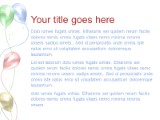 Presentationpro.com Powerpoint Products and Services