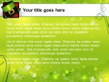 Download leprechaun hat PowerPoint Template and other software plugins for Microsoft PowerPoint