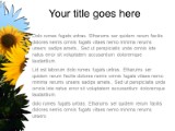 Presentationpro.com Powerpoint Products and Services