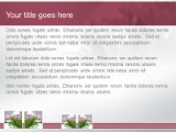 Presentationpro.com Powerpoint Products and Services