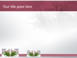 Presentationpro.com Powerpoint Products and Services