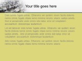 Presentationpro.com Powerpoint Products and Services