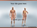 Download anatomy PowerPoint Template and other software plugins for Microsoft PowerPoint