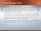 Download anatomy PowerPoint Template and other software plugins for Microsoft PowerPoint