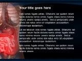 Presentationpro.com Powerpoint Products and Services