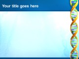 Presentationpro.com Powerpoint Products and Services