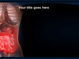 Presentationpro.com Powerpoint Products and Services