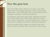 Presentationpro.com Powerpoint Products and Services