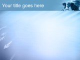 Presentationpro.com Powerpoint Products and Services