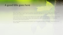 The Ivy Widescreen PowerPoint Template text slide design