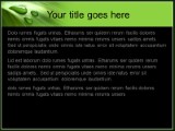Presentationpro.com Powerpoint Products and Services