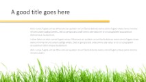 Grassy Widescreen PowerPoint Template text slide design
