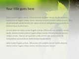 The Ivy PowerPoint Template text slide design