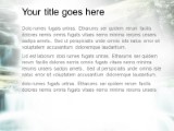 Presentationpro.com Powerpoint Products and Services