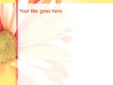 Presentationpro.com Powerpoint Products and Services