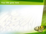 Presentationpro.com Powerpoint Products and Services