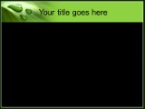 Presentationpro.com Powerpoint Products and Services