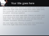Presentationpro.com Powerpoint Products and Services