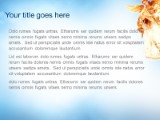 Presentationpro.com Powerpoint Products and Services
