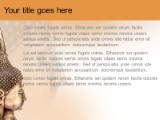 Presentationpro.com Powerpoint Products and Services