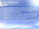 Presentationpro.com Powerpoint Products and Services