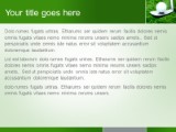 Presentationpro.com Powerpoint Products and Services