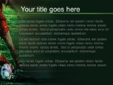 Presentationpro.com Powerpoint Products and Services
