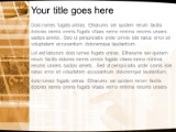 Online17 Orange PowerPoint Template text slide design