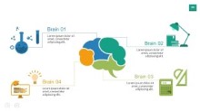 PowerPoint Infographic - Brain Layout