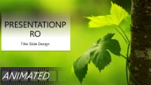 The Ivy Widescreen PPT PowerPoint Animated Template Background