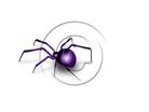 Download spider purple PowerPoint Graphic and other software plugins for Microsoft PowerPoint